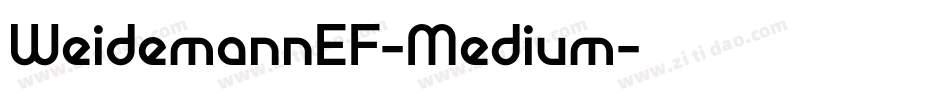 WeidemannEF-Medium字体转换