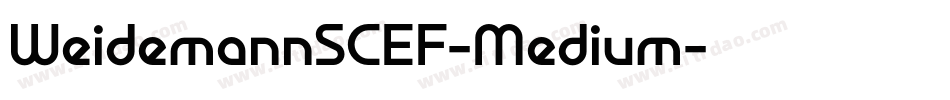 WeidemannSCEF-Medium字体转换
