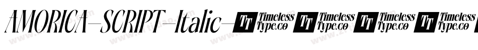 AMORICA-SCRIPT-Italic字体转换