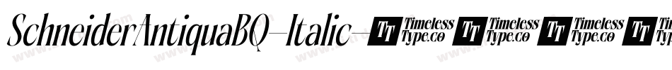 SchneiderAntiquaBQ-Italic字体转换