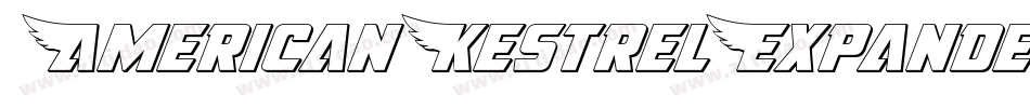 AmericanKestrelExpanded-nzxg字体转换