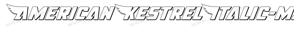 AmericanKestrelItalic-mzWm字体转换