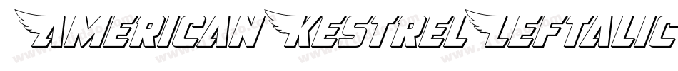 AmericanKestrelLeftalic-MPYJ字体转换
