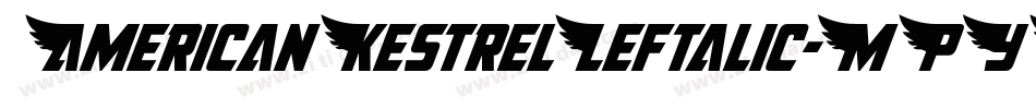 AmericanKestrelLeftalic-MPYJ字体转换