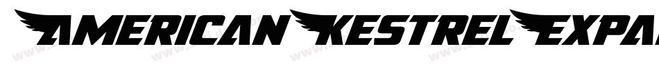 AmericanKestrelExpanded-nzxg字体转换