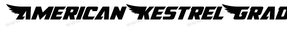 AmericanKestrelGradient-YZ3O字体转换