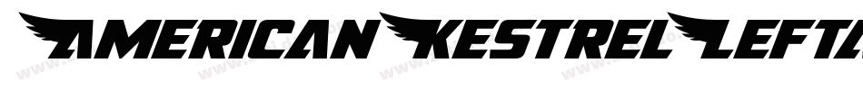 AmericanKestrelLeftalic-MPYJ字体转换