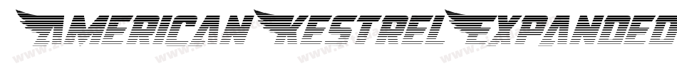 AmericanKestrelExpanded-nzxg字体转换