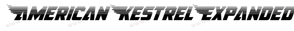 AmericanKestrelExpanded-nzxg字体转换