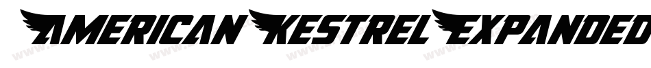 AmericanKestrelExpanded-nzxg字体转换