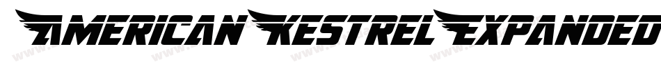 AmericanKestrelExpanded-nzxg字体转换