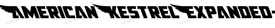 AmericanKestrelExpanded-nzxg字体转换