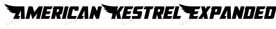 AmericanKestrelExpanded-nzxg字体转换