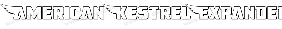 AmericanKestrelExpanded-nzxg字体转换