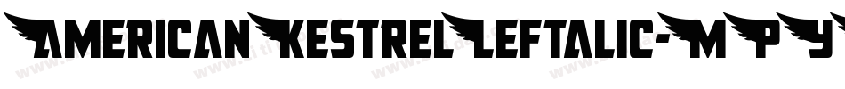 AmericanKestrelLeftalic-MPYJ字体转换