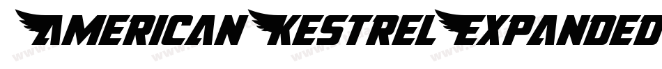 AmericanKestrelExpanded-nzxg字体转换