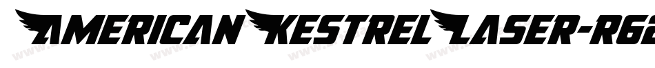 AmericanKestrelLaser-r62y字体转换