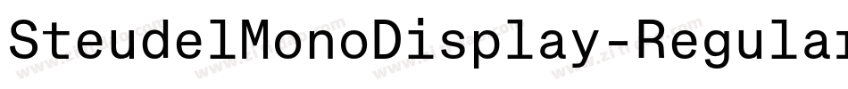 SteudelMonoDisplay-Regular字体转换