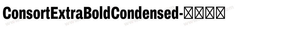 ConsortExtraBoldCondensed字体转换