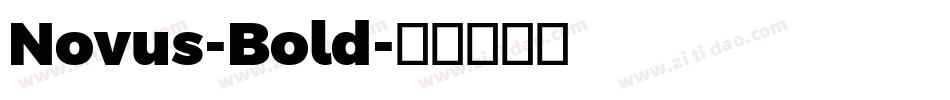 Novus-Bold字体转换