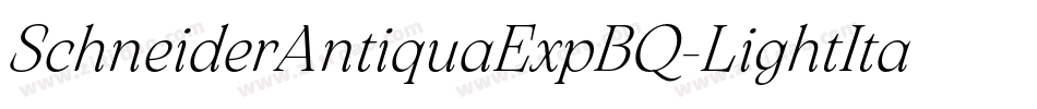 SchneiderAntiquaExpBQ-LightItalic字体转换