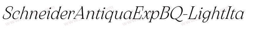 SchneiderAntiquaExpBQ-LightItalic字体转换