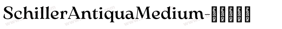 SchillerAntiquaMedium字体转换 SchillerAntiquaMedium字体转换