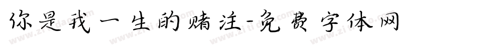 你是我一生的赌注字体转换