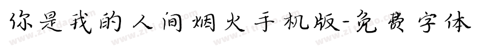 你是我的人间烟火手机版字体转换