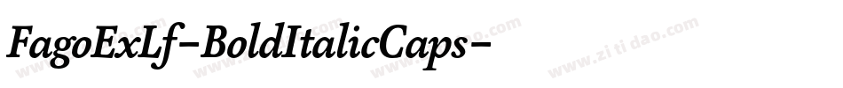FagoExLf-BoldItalicCaps字体转换 FagoExLf-BoldItalicCaps字体转换
