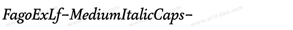 FagoExLf-MediumItalicCaps字体转换