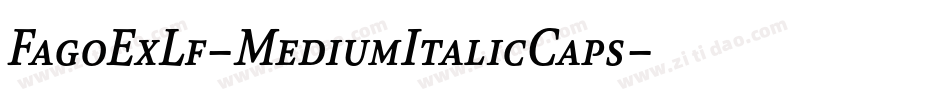 FagoExLf-MediumItalicCaps字体转换