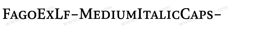 FagoExLf-MediumItalicCaps字体转换