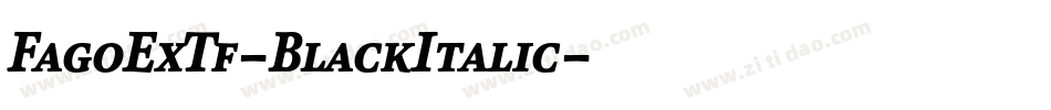 FagoExTf-BlackItalic字体转换