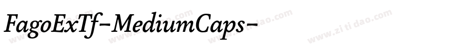 FagoExTf-MediumCaps字体转换