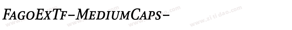 FagoExTf-MediumCaps字体转换