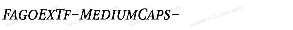 FagoExTf-MediumCaps字体转换