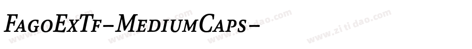 FagoExTf-MediumCaps字体转换