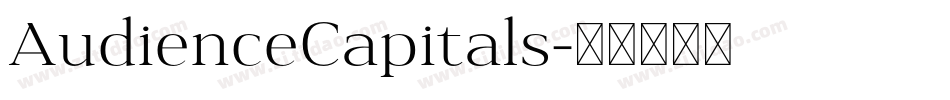 AudienceCapitals字体转换