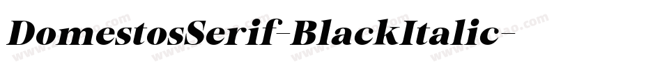DomestosSerif-BlackItalic字体转换