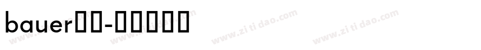 bauer字库字体转换