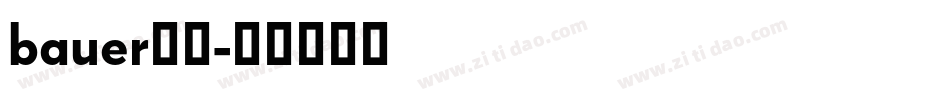 bauer字库字体转换