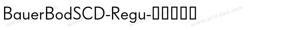 BauerBodSCD-Regu字体转换