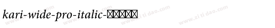 kari-wide-pro-italic字体转换