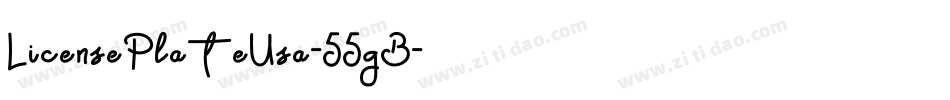 LicensePlateUsa-55gB字体转换