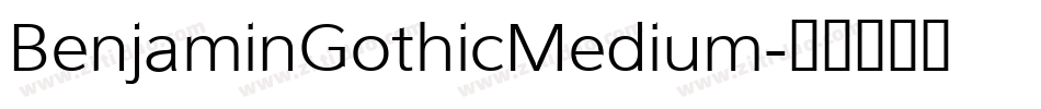 BenjaminGothicMedium字体转换