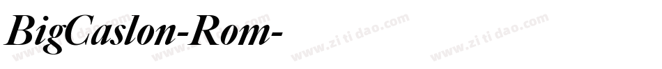 BigCaslon-Rom字体转换 BigCaslon-Rom字体转换