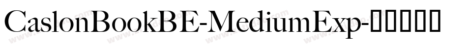 CaslonBookBE-MediumExp字体转换 CaslonBookBE-MediumExp字体转换