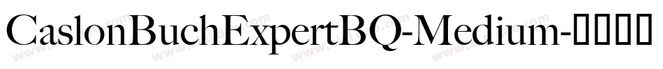 CaslonBuchExpertBQ-Medium字体转换 CaslonBuchExpertBQ-Medium字体转换