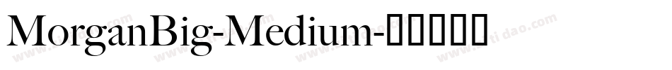 MorganBig-Medium字体转换